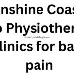 Sunshine Coast’s Top Physiotherapy Clinics for back pain